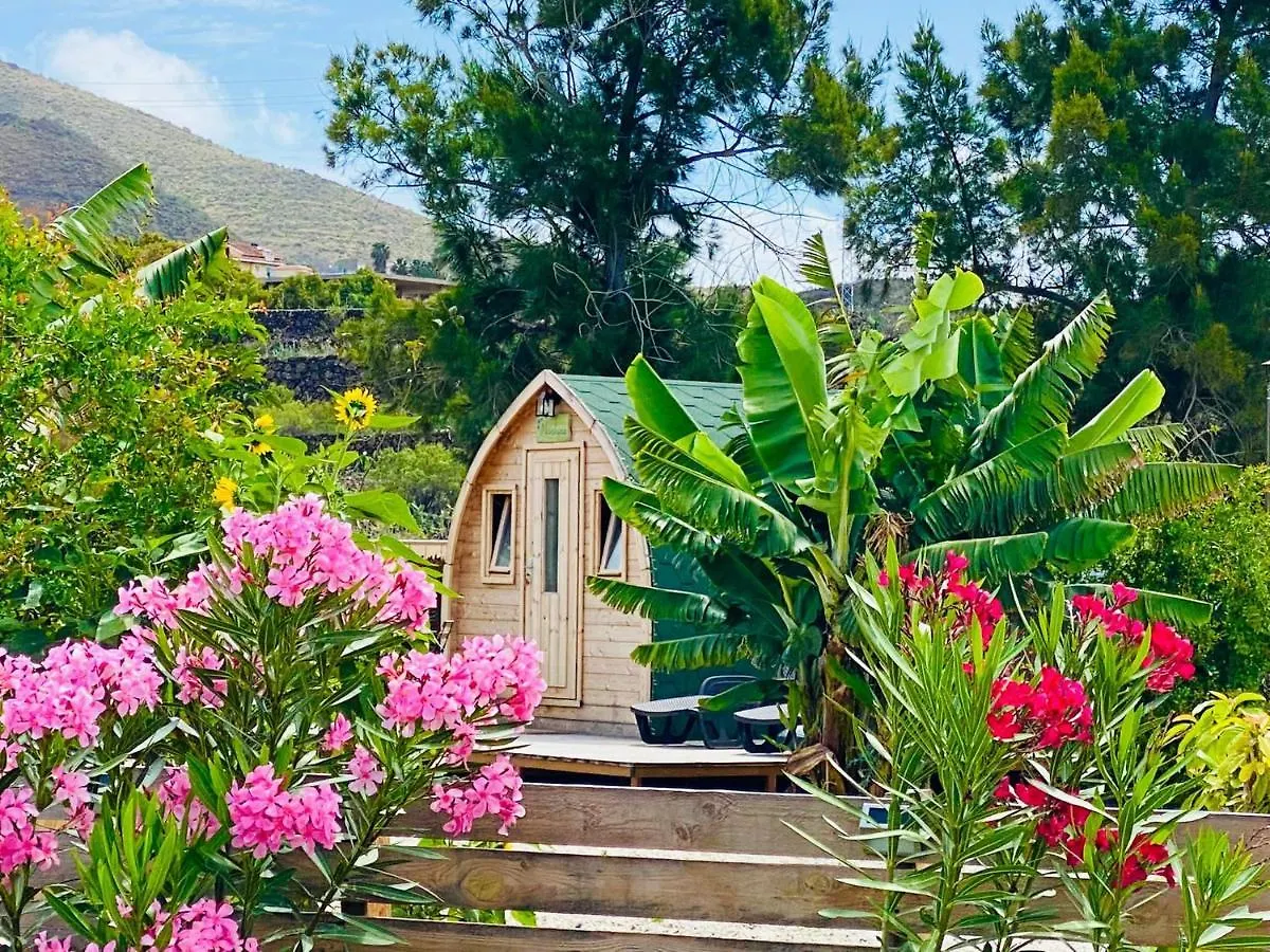 Amani Suite Con Jacuzzi Piscina Y Naturaleza Buzanada Holiday home