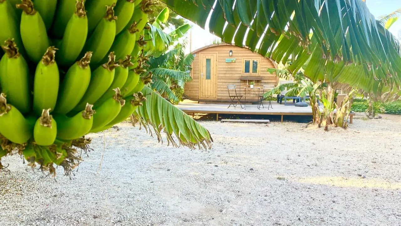 Amani Suite Con Jacuzzi Piscina Y Naturaleza Buzanada Holiday home
